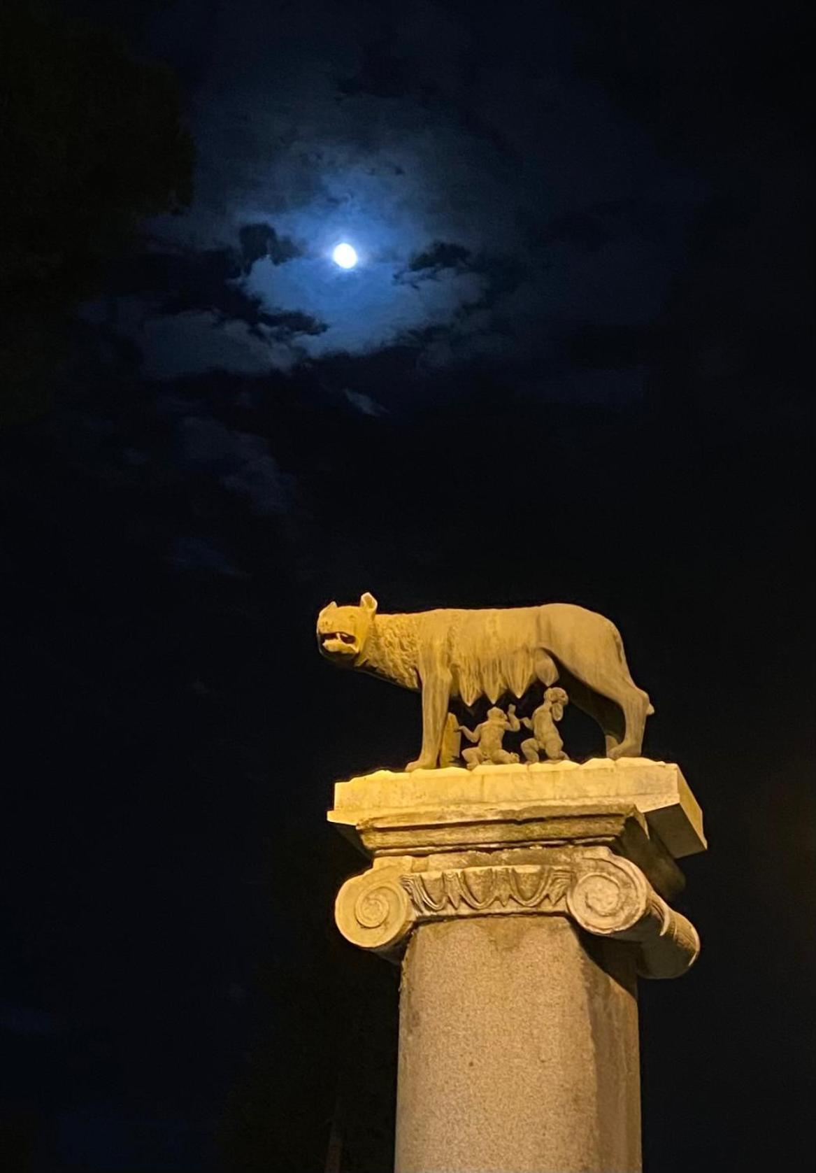 Domus Art Suites Merulana Roma Exterior foto